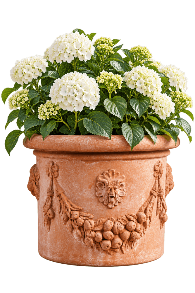 Cilindro Festonato – Pot en Terre Cuite d’Impruneta